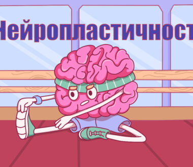 Нейропластичность